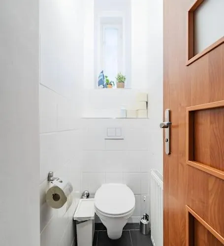 117 M² Near Nussdorferstrasse Vienna